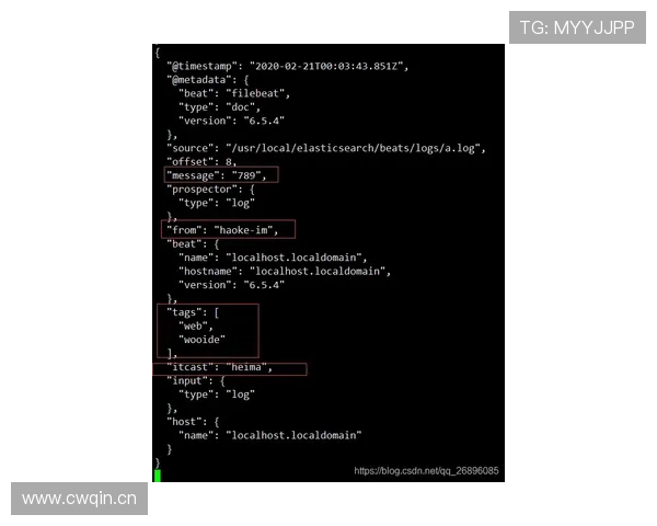 奥利塞的技术流标签与其战术角色的适配性分析